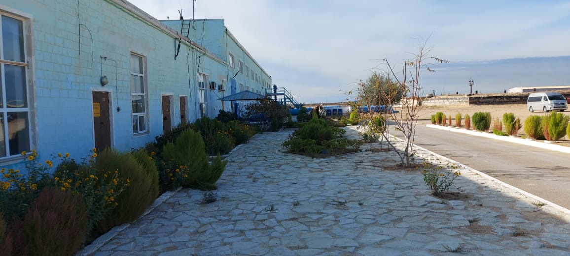 Изображение WhatsApp 2025-02-24 в 10.17.44_b7c7e3a2