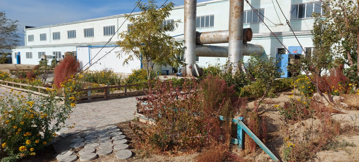 Изображение WhatsApp 2025-02-24 в 10.17.46_2bc5ba32