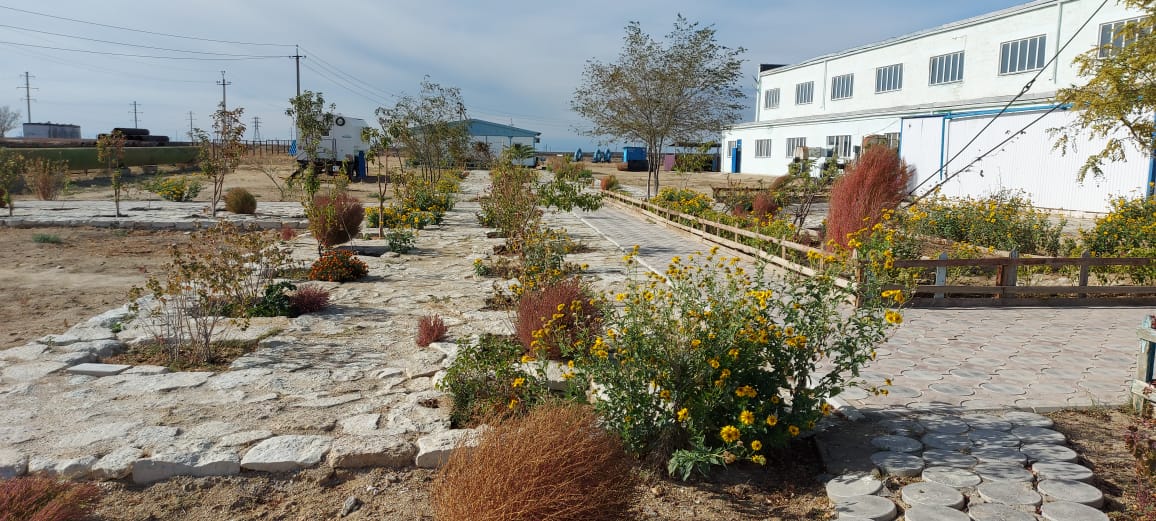 Изображение WhatsApp 2025-02-24 в 10.17.46_b7e77d4b