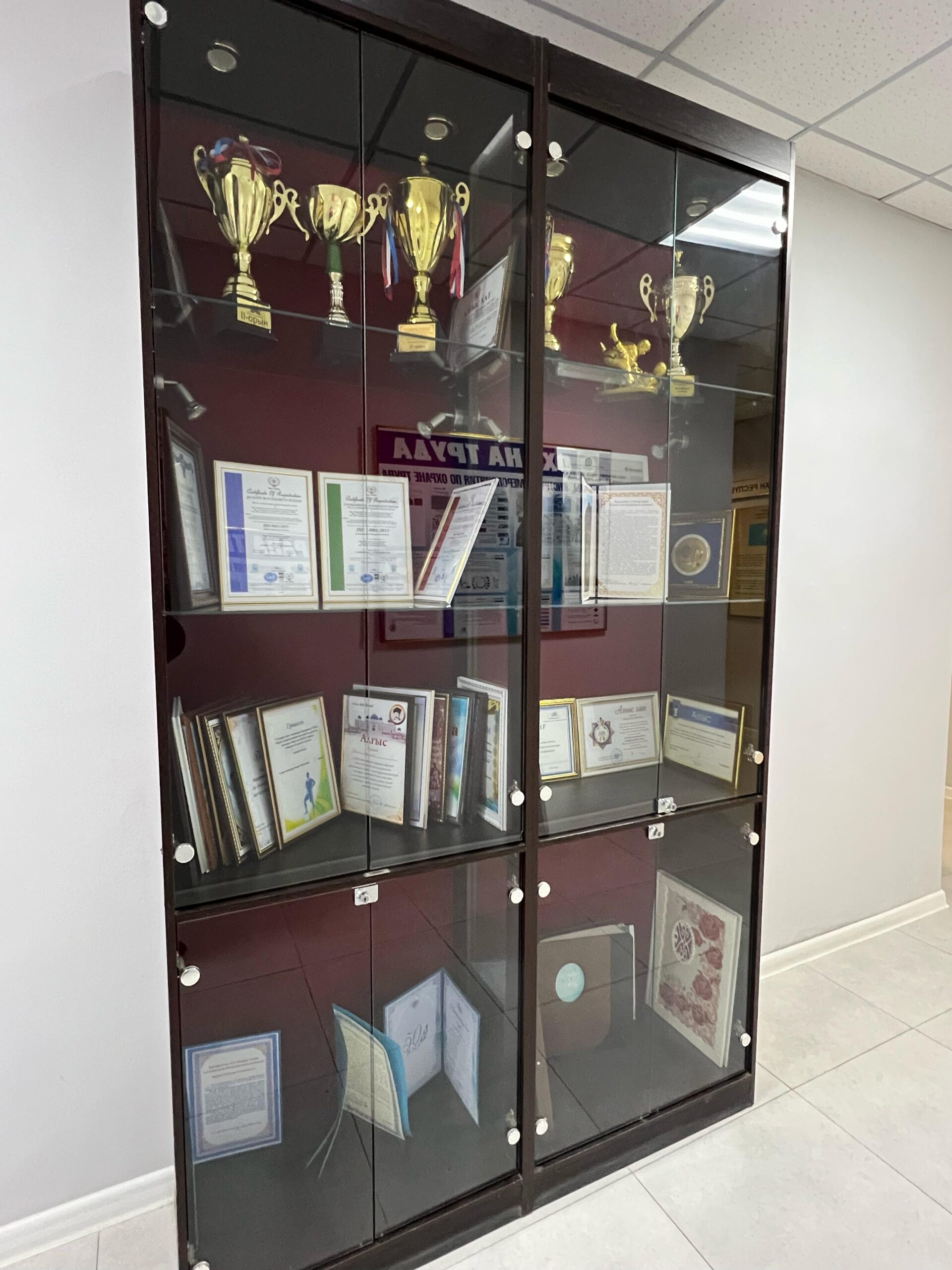 Изображение WhatsApp 2025-02-24 в 11.58.28_8aa8b6ce