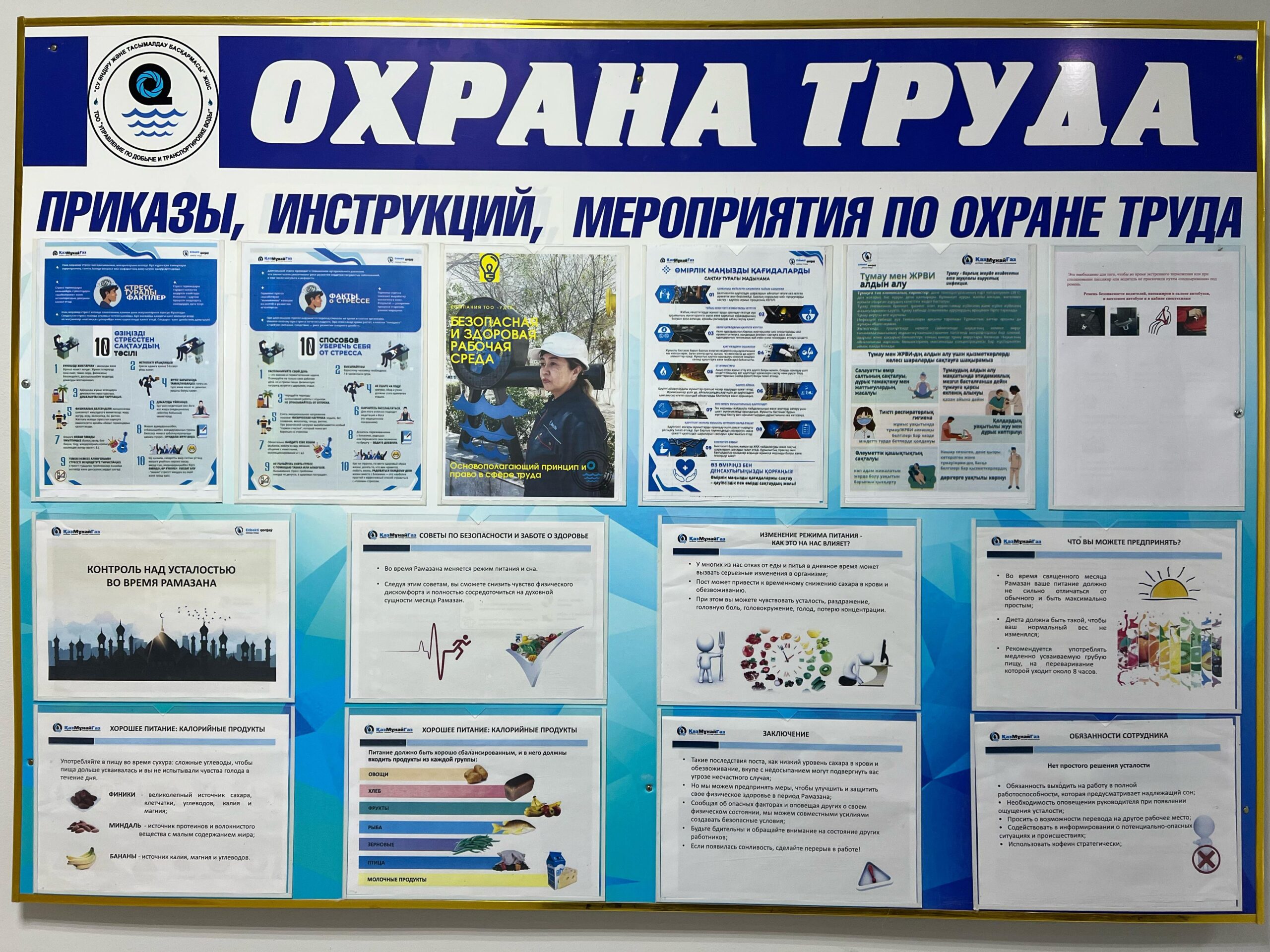 Изображение WhatsApp 2025-02-24 в 11.58.28_f50f97f0